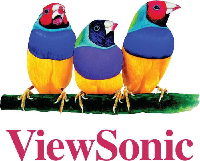 ViewSonic