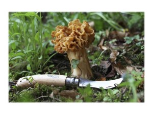 Opinel mushroom knife