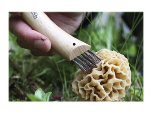 Opinel mushroom knife