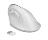 Delock Ergonomic - Vertikale Maus - ergonomisch - Für Rechtshänder - optisch - 6 Tasten - kabellos - 2.4 GHz - kabelloser Empfänger (USB)
