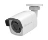 Levelone Gemini Series FCS -5202 - Network monitoring camera - outdoor area, indoor area - weatherproof - color (day & night)