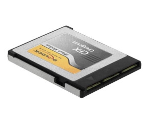 Delock Flash-Speicherkarte - 128 GB - CFexpress