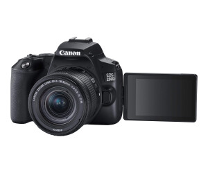 Canon EOS 250D - digital camera - SLR - 24.1 MPIX