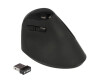 Delock ergonomic - vertical mouse - ergonomic - for right -handed - optically - 6 keys - wireless - 2.4 GHz - wireless receiver (USB)
