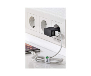 Wentronic goobay Dual USB charger - Netzteil - 12 Watt -...