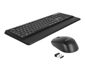 Delock Tastatur-und-Maus-Set - kabellos - 2.4 GHz