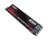 EMTEC SSD Power Plus X250 - SSD - 256 GB - internally