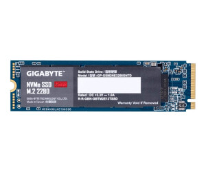 Gigabyte SSD - 256 GB - intern - M.2 2280 - PCIe 3.0 x4...