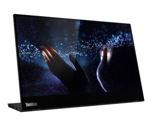Lenovo ThinkVision M14t - LED-Monitor - 35.6 cm (14")