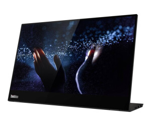Lenovo ThinkVision M14t - LED-Monitor - 35.6 cm (14")