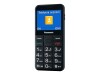 Panasonic KX-TU155 - Feature Phone - microSD slot