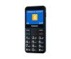 Panasonic KX-TU155 - Feature Phone - microSD slot