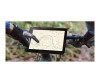 Samsung Galaxy Tab Active Pro - Enterprise Edition - Tablet - robust - Android 9.0 (Pie)