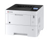 Kyocera Ecosys P3145DN - Printer - S/W - Duplex