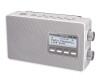 Panasonic RF-D10EG - Tragbares DAB-Radio - 2 Watt