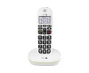 Doro PhoneEasy 110 - Schnurlostelefon mit Rufnummernanzeige/Anklopffunktion