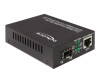 Delock Gigabit Ethernet Media Converter - Medienkonverter - GigE - 10Base-T, 100Base-TX, 1000Base-T, 1000Base-X - SFP (mini-GBIC)