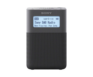 Sony XDR-V20D - Radiouhr - 2.5 Watt - Grau
