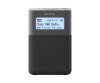 Sony XDR-V20D - Radiouhr - 2.5 Watt - Grau