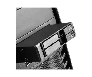 SilverStone FS202 - Gehäuse für Speicherlaufwerke - 2.5" (6.4 cm)