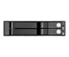 SilverStone FS202 - Gehäuse für Speicherlaufwerke - 2.5" (6.4 cm)