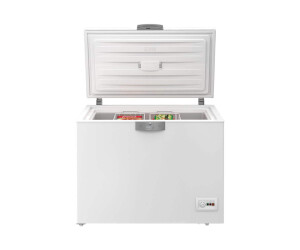 Beko HS22340 - freezer - free -standing - width: 110.1 cm