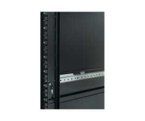 APC NetShelter SX - Schrank Netzwerkschrank - Schwarz - 42HE - 48.3 cm (19")
