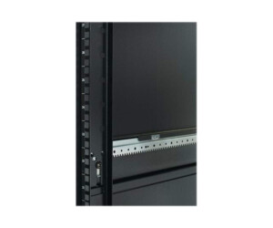 APC netshelter SX Enclosure with Sides - Cabinet - Black - 42he - 48.3 cm (19 ")