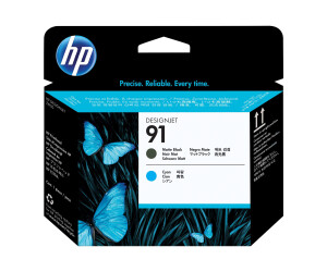 HP 91 - cyan, matt black - print head - for DesignJet Z6100