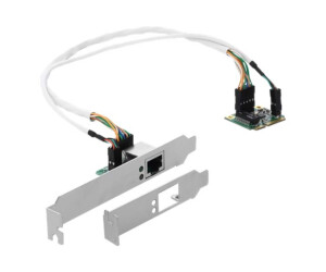 Delock Mini PCIe I/O PCIe half size 1 x Gigabit LAN Low...