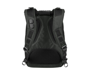 Targus Ecospruce - notebook backpack - 39.6 cm (15.6 ")