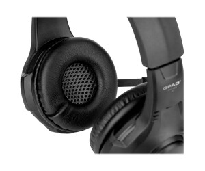QPAD QH -20 - Gaming - Headset - Earring