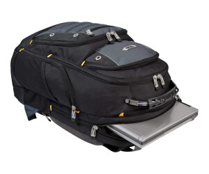 Targus Drifter - Notebook-Rucksack - 39.6 cm (15.6")
