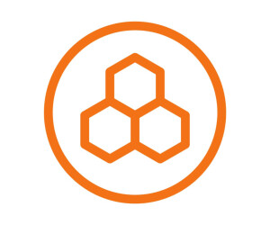 Iiyama - Thin-Client-zu-Monitor-Halterung - für...