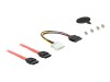 Delock 5.25 Mobile Rack for 1 x 2.5 + 1 x 3.5 SATA HDD + 2 x USB 3.0 Ports - Mobiles Speicher-Rack - 2.5", 3.5" (6.4 cm, 8.9 cm)