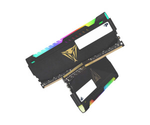 PATRIOT Extreme Performance Viper Steel RGB - DDR4