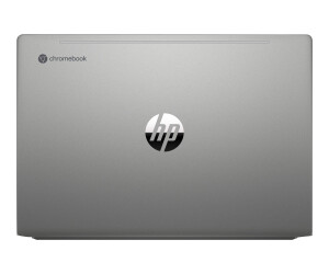HP Chromebook 14b-na0255ng - AMD Ryzen 5 3500C / 2.1 GHz - Chrome OS - Radeon Graphics - 8 GB RAM - 128 GB SSD NVMe - 35.6 cm (14")