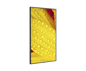 NEC Display MultiSync ME501 - 125.7 cm (50")...