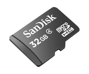 Sandisk Flash memory card (MicroSDHC/SD adapter included)