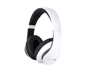 FANTEC SHP-3 - Headset - On-Ear - kabelgebunden