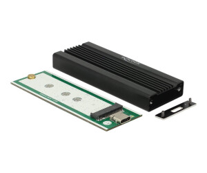 Delock Speichergehäuse - M.2 Card - USB 3.1 (Gen 2)