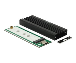 Delock Speichergehäuse - M.2 Card - USB 3.1 (Gen 2)