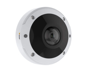 Axis M3077 -PLVE - Network panorama camera - dome - Outdoor area - Vandalismussproof / weather -resistant - color (day & night)