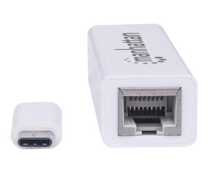 Manhattan USB-C to Gigabit (10/100/1000 Mbps) Network...