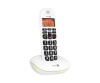 Doro PhoneEasy 100w - Schnurlostelefon mit Rufnummernanzeige