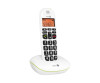 Doro Phoneeasy 100W - cordless phone with phone number display