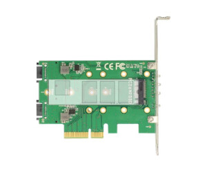 Delock PCI Express Card > 3 x M.2 Slot - Speicher-Controller