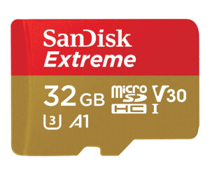 Sandisk Extreme-Flash memory card (MicroSDHC/SD adapter included)