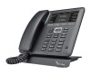 Bintec Elmeg IP640 - VOIP telephone - SIP, RTCP, RTP, SRTP, SIPS