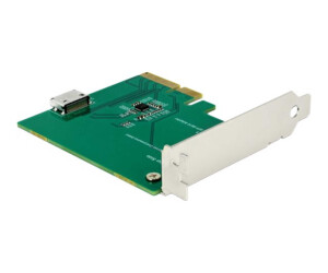 Delock PCI Express x4 Card to 1 x internal OCuLink SFF-8612